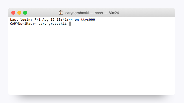 A screenshot shows an open Terminal window.